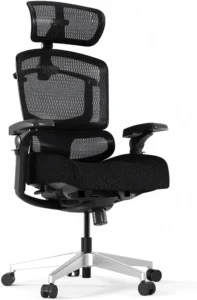 Best Ergonomic Office Chairs of 2026: Top Picks for Comfort, Support & Long Workdays 7 FLEXISPOT ErgoX PRO Premium Ergonomic Office Chair Soft Black